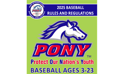 2025 Baseball Rules